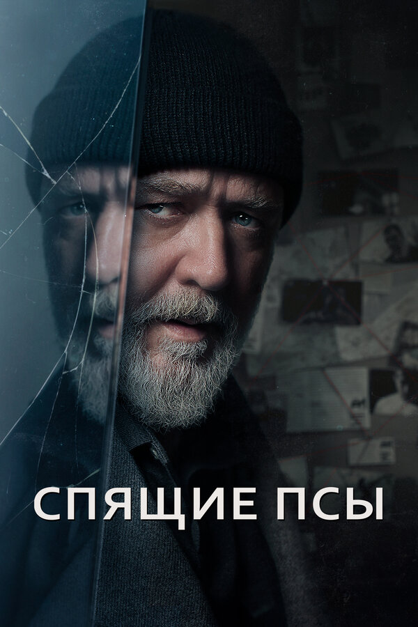 Спящие псы постер